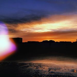 Meet your Posher, Molly